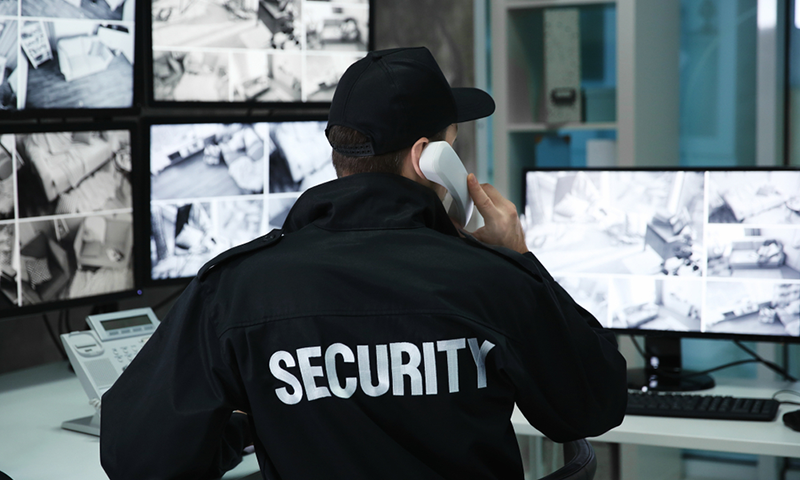 Services of private security companies in Egypt